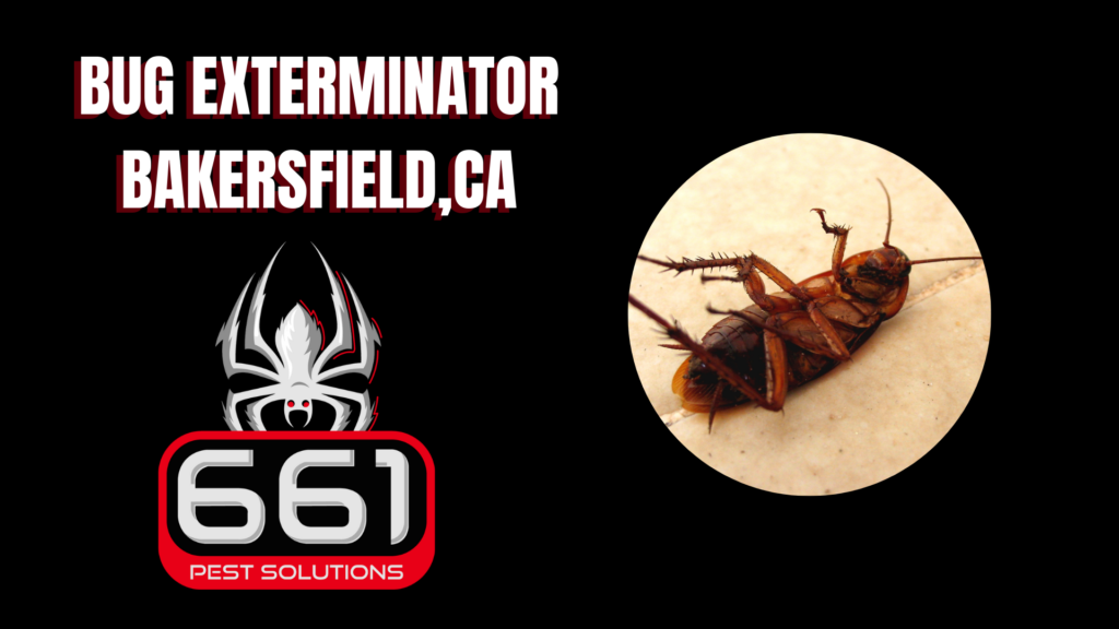 Zoomed-in image of a roach with text overlay 'Bug Exterminator Bakersfield, CA' and 661 Pest Solutions logo.